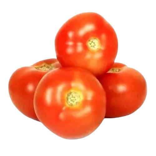 Tomato / Tamatar